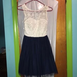 Delia’s Blue and White Tulle Dress